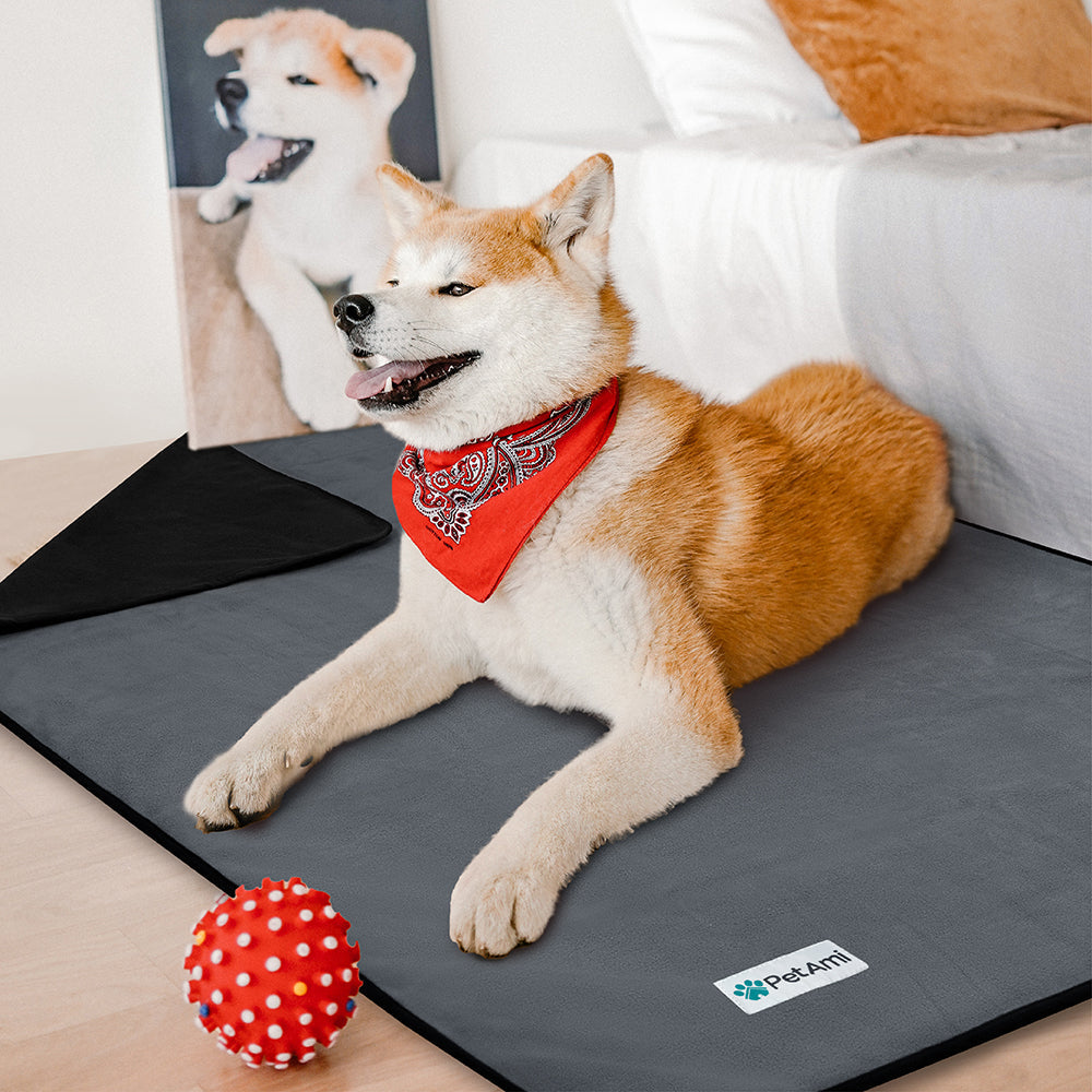 Couverture waterproof pour chien. Idéal pour les jours de pluie ou les pipis intempestifs de votre chien.