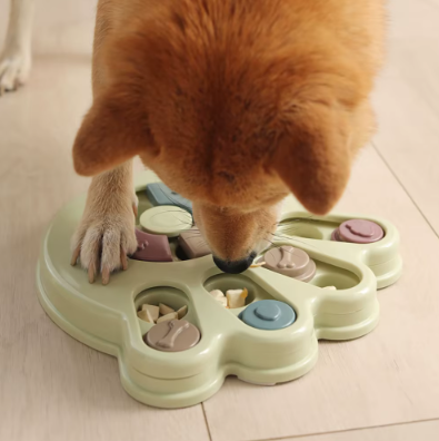 Gamelle pour chien en forme de patte de chien, très esthétique.