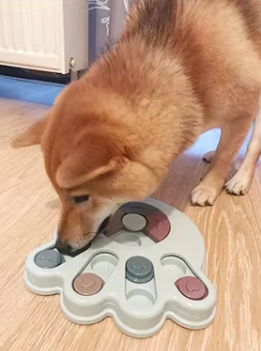 Gamelle pour chien en forme de patte de chien, très esthétique.