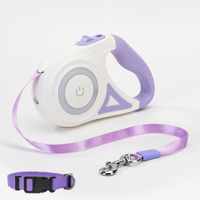 Laisse pour chien rétractable. Tout ce qu'il faut pour pas brusquer votre chien