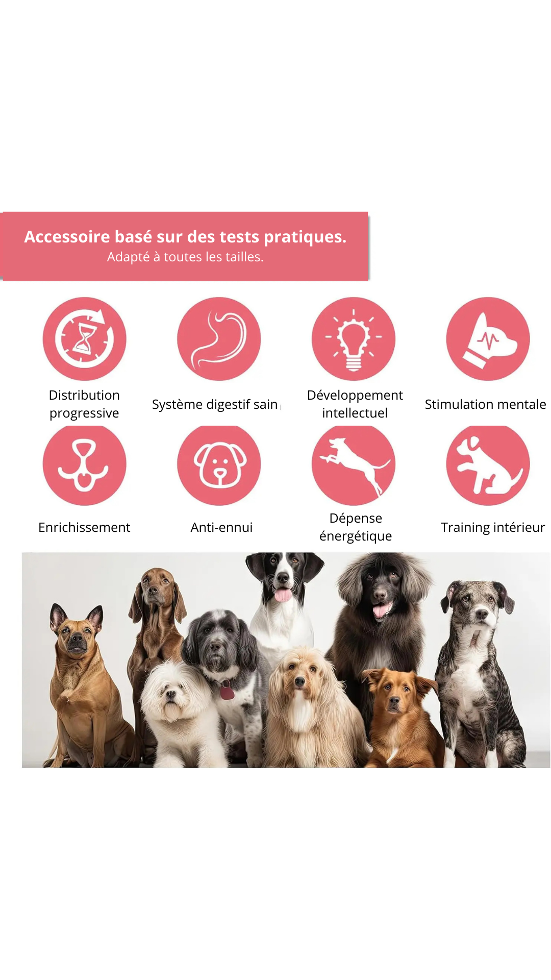 Balle interactive pour chien — Jouet éducatif et distributeur de friandises pour stimuler l’intelligence et occuper votre compagnon