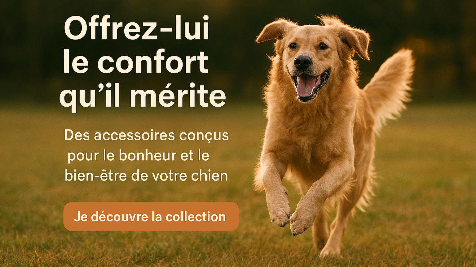 chien heureux qui court
