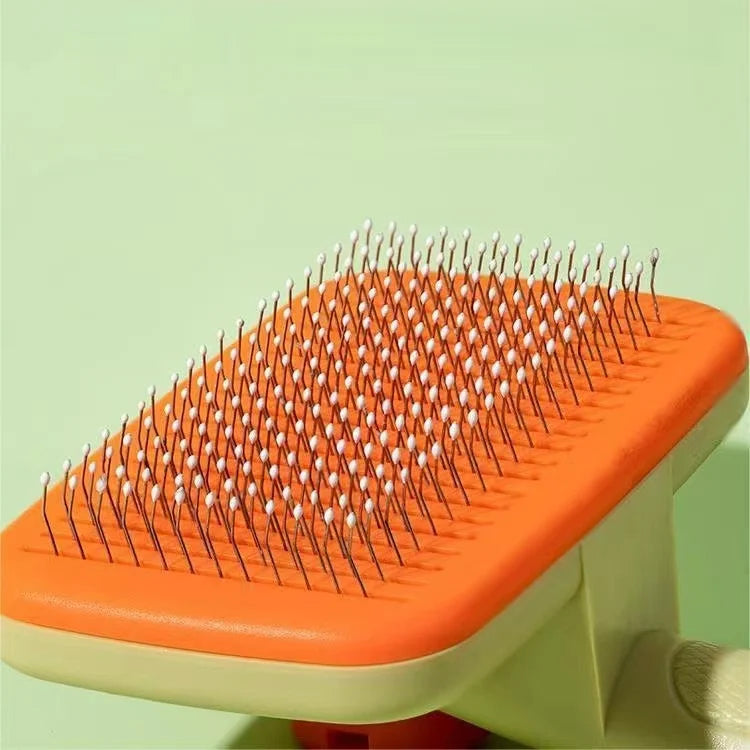 brosse intelligente pour garantir un pelage étincelant.