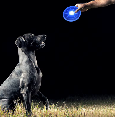 Frisbee pour chien lumineux. Idéal pour les sorties nocturnes.