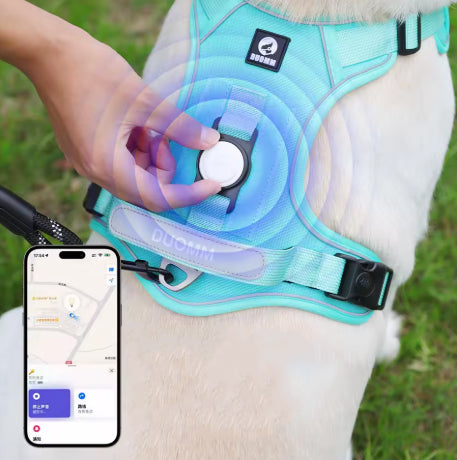 Harnais pour chien. Idéal pour promener votre chien en toute sécurité sans le brusquer.