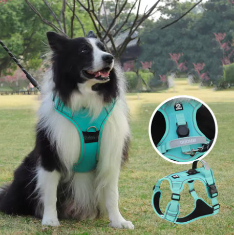 Harnais pour chien. Idéal pour promener votre chien en toute sécurité sans le brusquer.