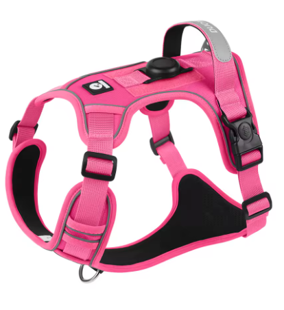 Harnais pour chien. Idéal pour promener votre chien en toute sécurité sans le brusquer.