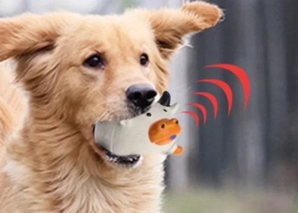 jouets sonores pour chien, indispensable pour réveiller l'instinct de votre chien.