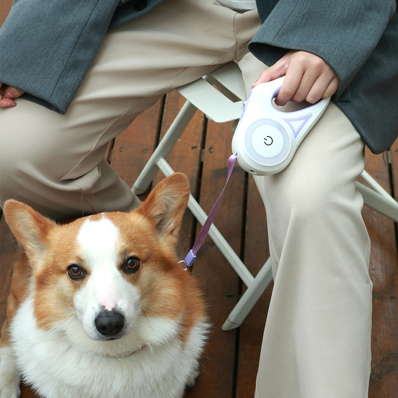 Laisse pour chien rétractable. Tout ce qu'il faut pour pas brusquer votre chien