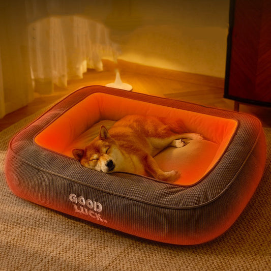 Lit chauffant pour votre chien. Le meilleur accessoire pour le confort hivernal de votre chien.