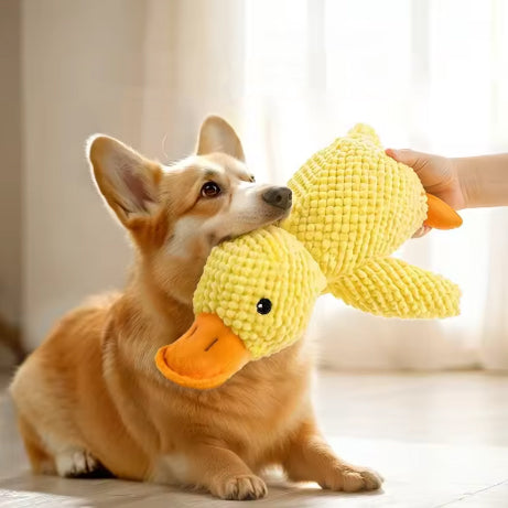 Peluche pour chien en forme de canard. Le compagnon idéal pour le bonheur de votre chien.