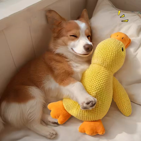 Peluche pour chien en forme de canard. Le compagnon idéal pour le bonheur de votre chien.