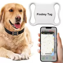 tracer gps intelligent, garantissant la sécuité de votre chien.