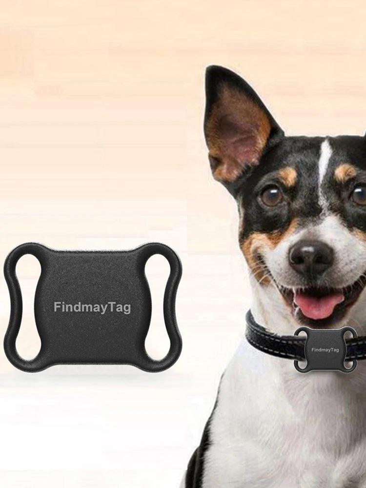 tracer gps intelligent, garantissant la sécuité de votre chien.