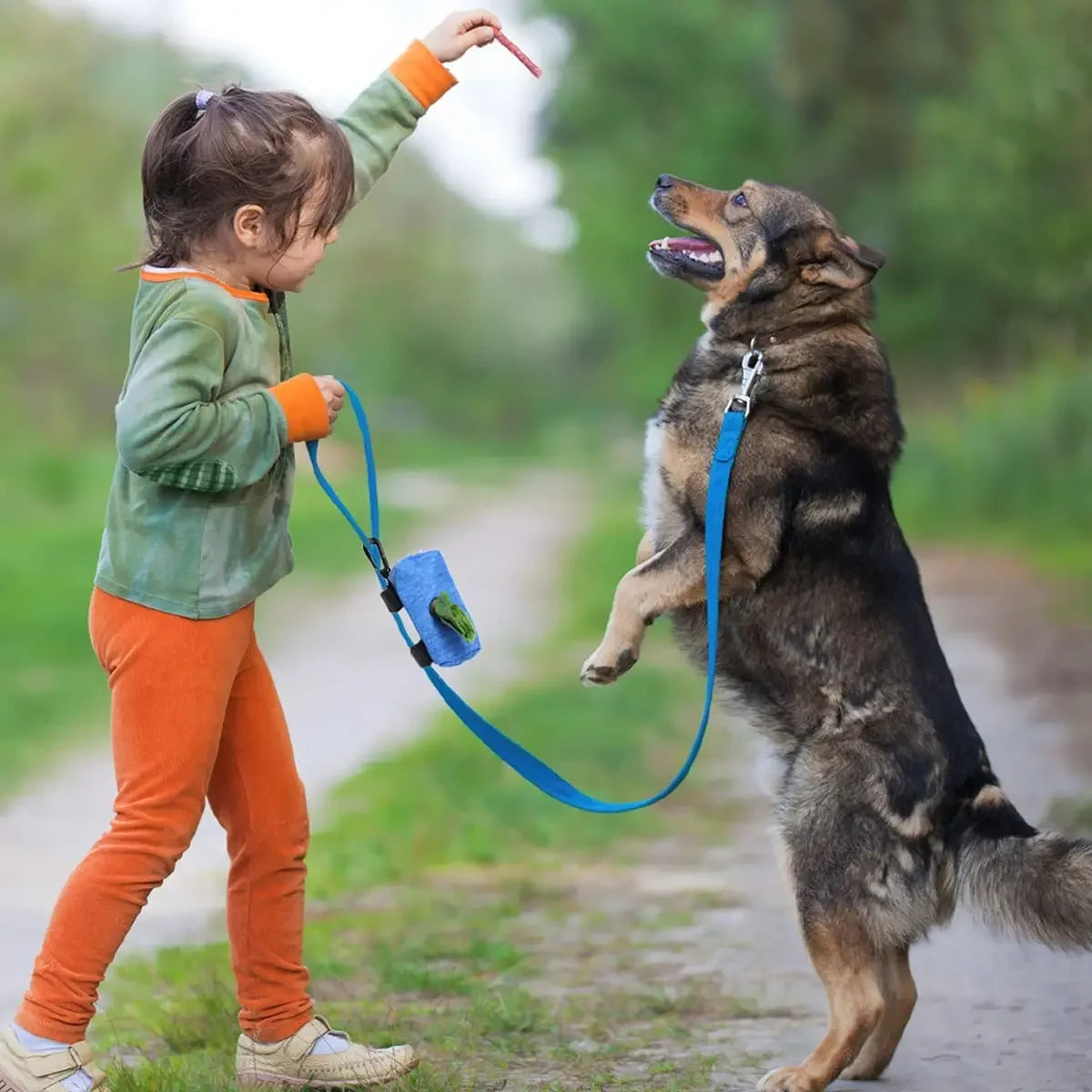 Le compagnon indispensable pour des promenades sans stress 🐶✨